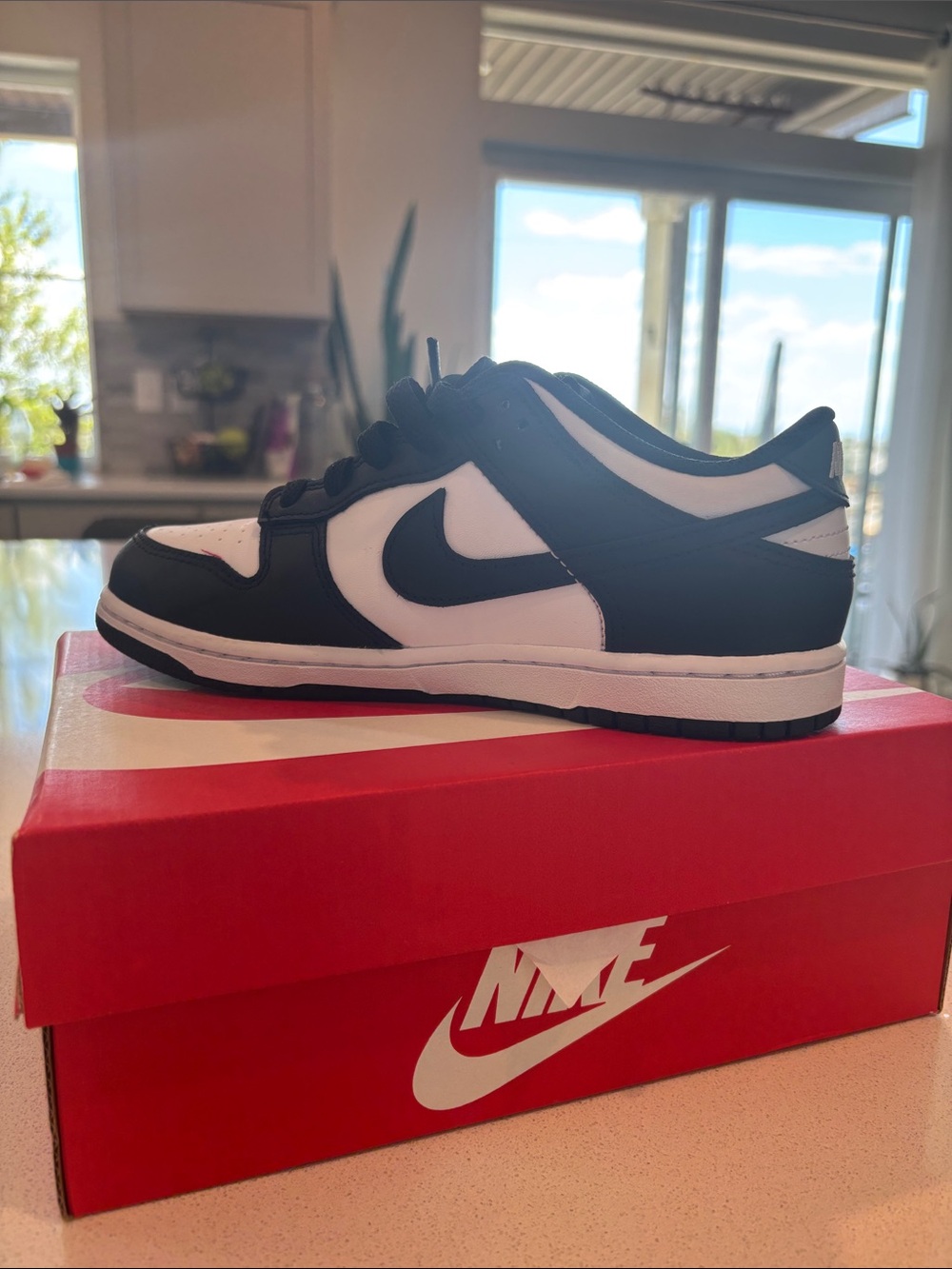 Nike Kids Black and White Low-Top Sneaker